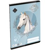 ICO LizzySuli Wild Beauty Sport Club bilježnica s linijama za 3. razred A/5 12-32 Cijene