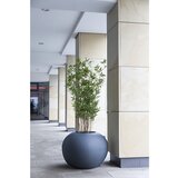 DEGARDO Lonec za rože, STORUS IV, VxŠxG 490 x 750 x 690 mm, antracitno sive barve | Shoptok.si