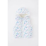 Defacto Baby Girls Water Repellent Hooded Inflatable Vest Cene
