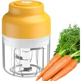  Aku. prenosni sekljalnik zelenjave in zelišč 250ml USB Cene