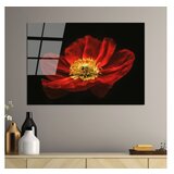 WALLXPERT dekorativna slika od kaljenog stakla cvetan cvet crvenog maka (uv 204) 70 x 100cm Cene