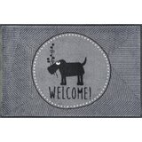 wash+dry PREDPRAŽNIK Herr Just-Welcome ! 50/75 cm potiskano siva | Shoptok.si