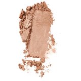 Dr. Hauschka Make-Up intenzivna senčila za oči odtenek 08 golden topaz 1.4 g | Shoptok.si