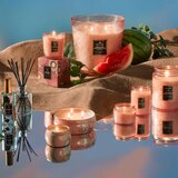 VOLUSPA Japonica Kalahari Watermelon dišeča sveča 255 g | Shoptok.si