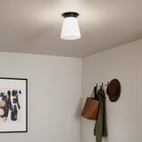  kichler kl-albers-f-t-bk-plafonsko svetlo albers 1xE27/40W/230V prečnik 21,6 cm crna | Eponuda.com