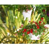 Artevasi Plastična posuda za cvijeće ø 31 cm Algarve – | shoptok.hr