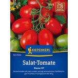 KIEPENKERL Solatni paradižnik "Roma" - 1 pkt. | Shoptok.si