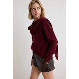 TRENDYOLMILLA Trendyol ženski duks Twoaw27Hi00071, burgundac | Eponuda.com