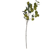  Rezano cvijeće eukaliptus grana, 90 cm | shoptok.hr
