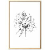  Plakat Drawn Flowers 29.7x42 Zlatni okvir s margom | shoptok.hr