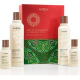 Aveda Holiday Gift of Awakening darilni set za telo Cene