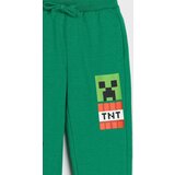Sinsay Donji dio trenirke Minecraft | shoptok.hr