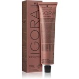 Schwarzkopf igora Color10 - 6-0 temna blond naravna | Shoptok.si