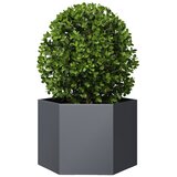  Vrtna sadilica antracit šesterokutna 69x60x45 cm čelična | Eponuda.com