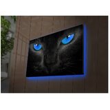 Shining slika s pozadinskim osvjetljenjem Morrison, 70 x 45 cm | shoptok.hr