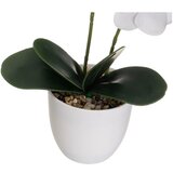 Casa Selección Umetna rastlina (višina 39 cm) Orchid – | Shoptok.si
