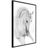  Poster - Beauty in Motion 20x30 | shoptok.hr