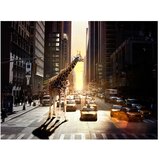  Tapeta - Giraffe in the big city 350x270 | shoptok.hr