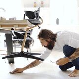 Stokke hranilica Nomi Beech black | shoptok.hr