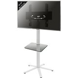 MID.YOU Nosilec Za Tv Xila | Shoptok.si