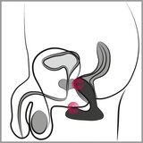 Svakom Vick Neo analni vibrator 1 kom | shoptok.hr