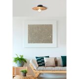 Globo stropna svetilka | Shoptok.si