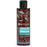 Centifolia Prirodni šampon protiv peruti sa eukaliptusom - 200ml | Eponuda.com