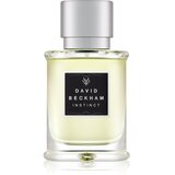 David Beckham Instinct toaletna voda 30 ml za moške | Shoptok.si