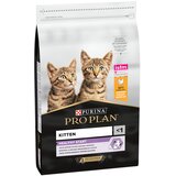 Purina PRO PLAN Kitten Healthy Start bogata s piščancem - 10 kg | shoptok.hr