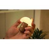 Gingko LED namizna svetilka v beli in temni naravni barvi (višina 7 cm) Alice Mushroom – | Shoptok.si
