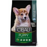 Farmina cibau hrana za pse puppy medium 2,5kg Cene