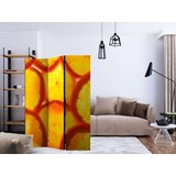  Paravan u 3 dijela - Orange slices [Room Dividers] 135x172 | shoptok.hr
