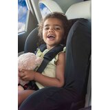 Dooky zaštita za gornje pojaseve autosjedalice 2 kom - Black | shoptok.hr