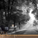  Samoljepljiva foto tapeta - Path of Memories 98x70 | shoptok.hr