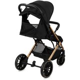Momi kolica za bebe Estelle Dakar Ginko, 6m+