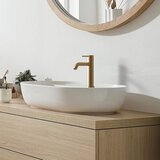 Hansgrohe 73311140 Tecturis S EcoSmart+ 110 armatura za umivalnik | Shoptok.si
