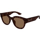 Alexander Mcqueen AM0509SA 002 ONE SIZE (55) Havana/Rjava | Shoptok.si