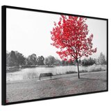  Poster - Autumn Colours I 45x30 | shoptok.hr