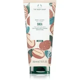 Shea Body Lotion