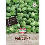 Mini kumara Sperli's Sandia Cene