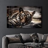 Wallity slika CAM-1057, 46x72cm | ePonuda.com