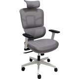 Anji Furniture kancelarijska stolica Furniture CH Ergo Mesh Cene