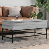 The Living Store Klubska mizica siva sonoma 100x50x45 cm inžen. les in kovina - Klubska Mizica, (21573318) | Shoptok.si