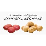  Semenski krompir 10 kg | ePonuda.com