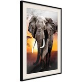  Poster - Majestic Elephant 30x45 | shoptok.hr
