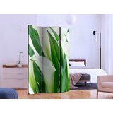 Artgeist PARAVAN 135/172/3 cm zelena, bela | Shoptok.si