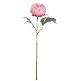 CVIJET PEONIJA 52CM ROZA BIZZOTTO Cijene