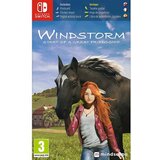 Mindscape igrica za nintendo switch windstorm start of a great friendship | ePonuda.com