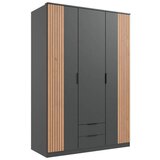 Boxxx omara za oblačila, barve grafita, hrast artisan | Shoptok.si