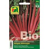 AUSTROSAAT Bio Mangold "Rhubarb Chard" Cene